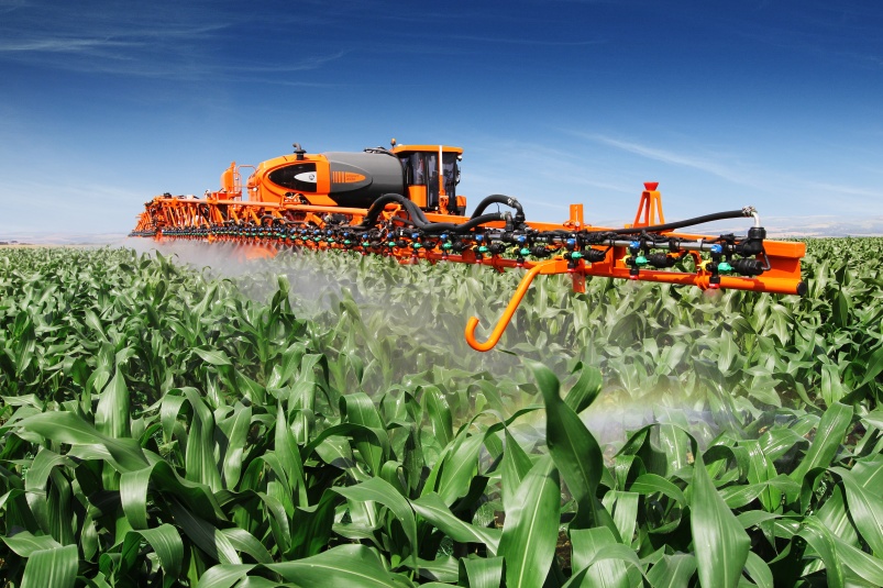 Разработка мероприятий по защите растений редьки масличной от вредителей, болезней и сорняков