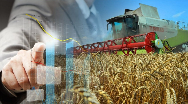Расчет и анализ показателей специализации и концентрации производства в сельскохозяйственном предприятии