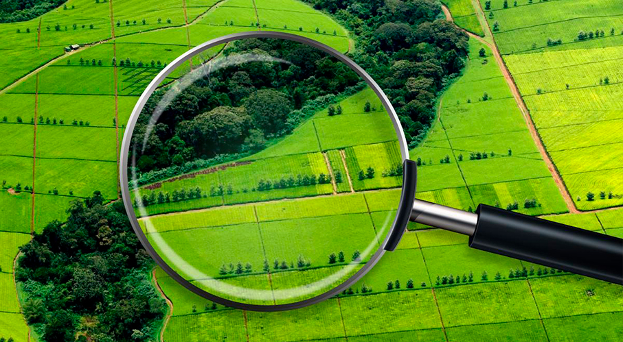 Предмет Мелиоративно-строительный